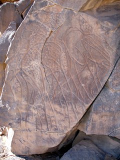 At the beginning of the Holocene the hunter gatherers of the Sahara experienced very different enviromental conditions