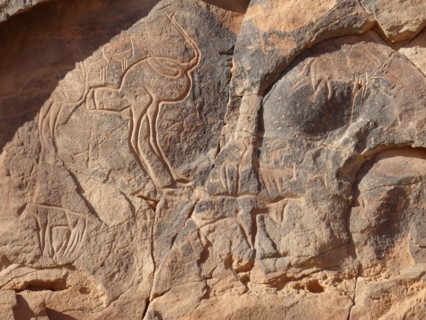 At the beginning of the Holocene the hunter gatherers of the Sahara experienced very different enviromental conditions