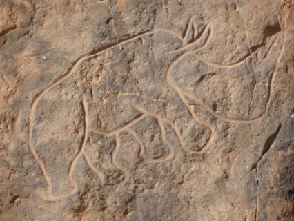 At the beginning of the Holocene the hunter gatherers of the Sahara experienced very different enviromental conditions