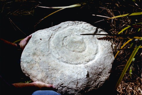 Unusual sandsstone carving recently washed up on the beach at Mt Cameron, West on Tasmanias Northern West Coast