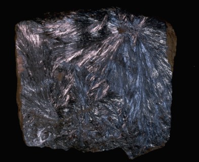 Fossilised mineral found in southwest Turfan, Western China