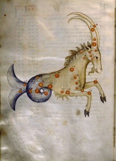 Illustration from a copy of Al Sufis The Book of Fixed Stars