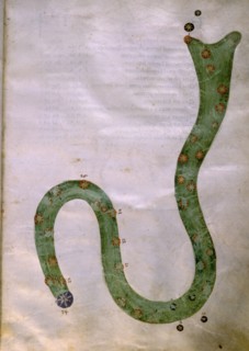 Illustration from a copy of Al Sufis The Book of Fixed Stars