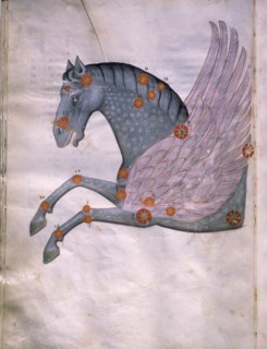 Illustration from a copy of Al Sufis The Book of Fixed Stars