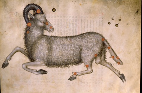 Illustration from a copy of Al Sufis The Book of Fixed Stars