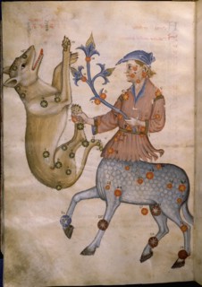 Illustration from a copy of Al Sufis The Book of Fixed Stars