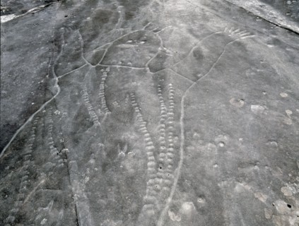 Petroglyph incised in the rock at an aboriginal sacred site