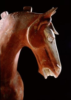 Buff pottery stallion (detail)