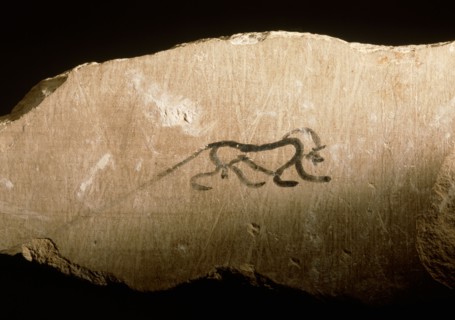 Limestone fragment with black outline sketch of baboon