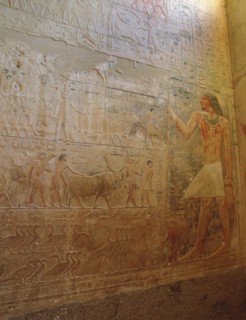 A relief from the tomb of the vizier Ptah hotep at Saqqara