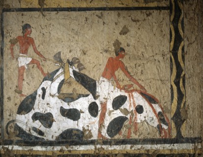 A painting from the tomb of Ity depicting the slaughtering of an ox