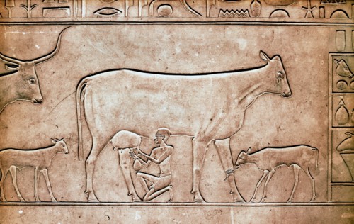 A detail of a relief on the sarcophagus of Queen Kawit, wife of the pharaoh Mentuhotep II
