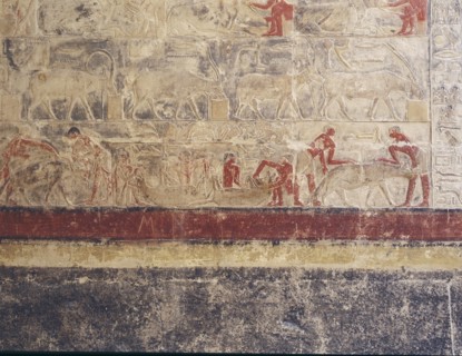 A scene in relief in the tomb of Mereruka