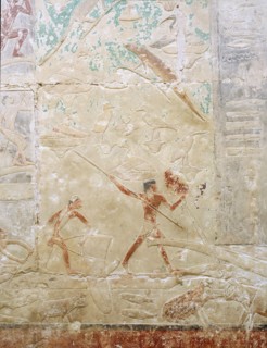 A relief in the tomb of Princess Sesh seshet Idut at Saqqara showing hunting hippopotamus from papyrus reed boats