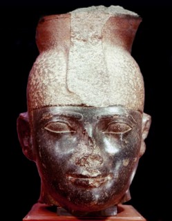 The head of king Taharka