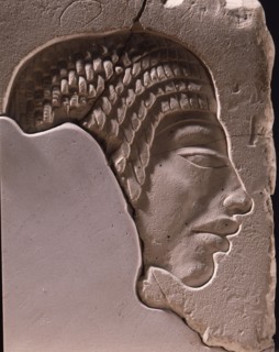 Fragment of arelief depicting a head in profile