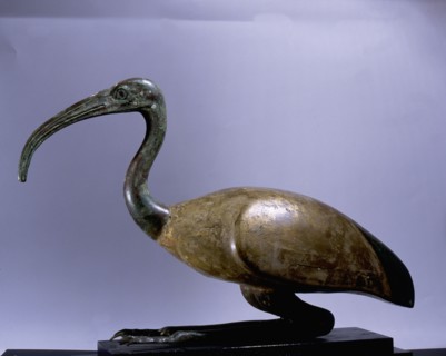 Copper alloy Ibis
