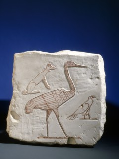 Sketch of a crane, a vulture, and a basenji