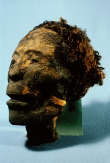 Head of mummy of a 25 35 year old male