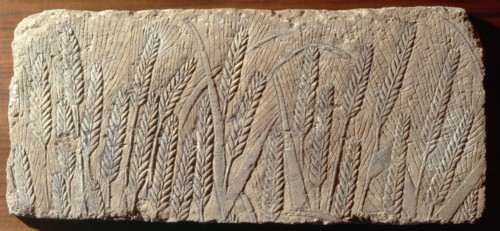Relief carving showing wheat
