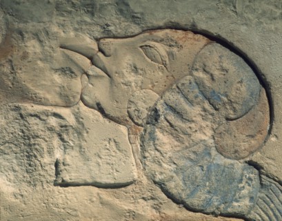 Detail of relief showing Nefertiti kissing her daughter, perhaps Merytaten, under the rays of the Aten