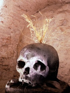 Stone skull from the Count Frantisek Antonin Sporks spa at Kuks
