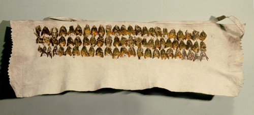 Headband made from hummingbird breasts mounted on deerskin