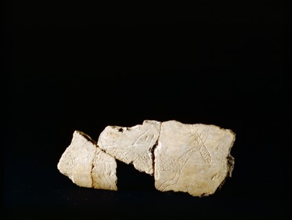 Lough Crew bone flake