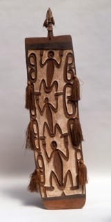 Asmat shield