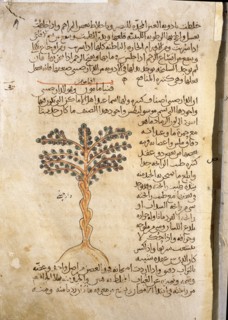 Folio 9r of the Arabic version of Dioscorides De Materia Medica