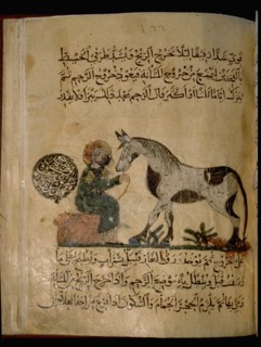 Illustration from Nihayat al Sul, a Mamluk manual on horsemanship