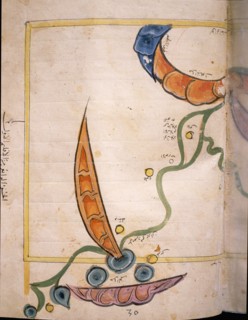 Map of Egypt by the Muslim cartographer al Idrisi, showing the Nile, the desert and dunes