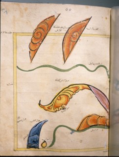 Map of Egypt by the Muslim cartographer al Idrisi, showing the Nile, the desert and dunes