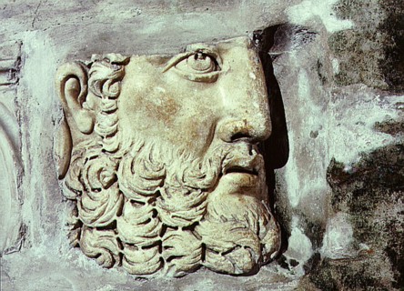 Head