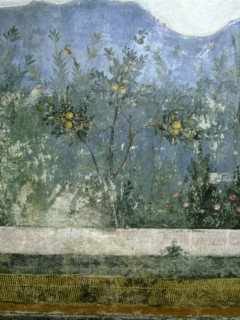 Detail of the fresco from the main hall of Livias villa at Prima Porta, outside Rome