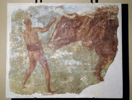Painting : Man and Bulls
