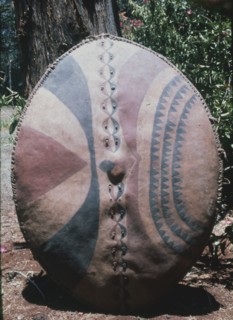 A Masai shield