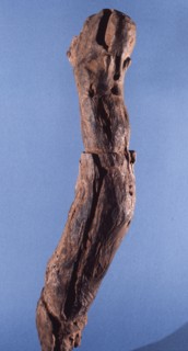 A root carving possibly representing the great snake
