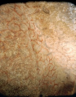 Painting of spirals