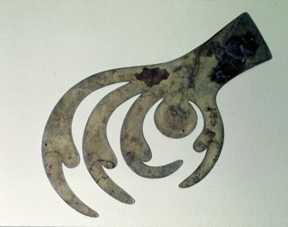 Claw of a bird of prey