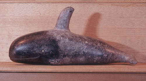 Model of a killer whale