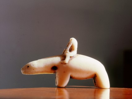 Polar bear and man riding it