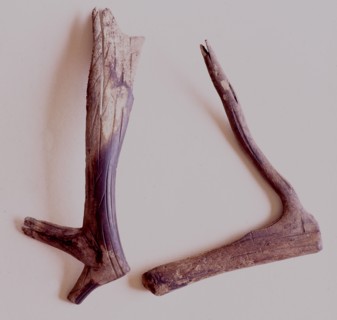 Notched rasping sticks were frequently used by shamans during their rituals to contact the spirits of animals