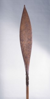 Painted war canoe paddle collected by Captain Cook on the East Coast of the North Island in 1769