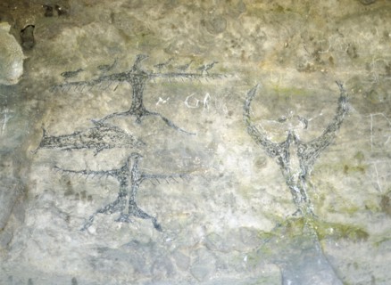 An early Maori rock drawing, from a limestone shelter, of a fish with several bird like figures