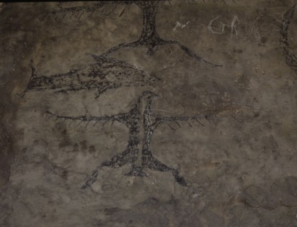 An early Maori rock drawing, from a limestone shelter, of a fish with several bird like figures