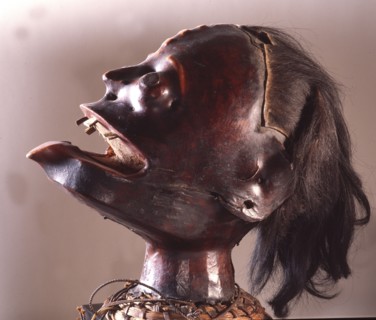 Head hunting was an important aspect of masculine status among the Ejagham