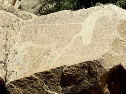Rock carving of a gazelle