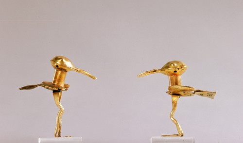Two little water birds