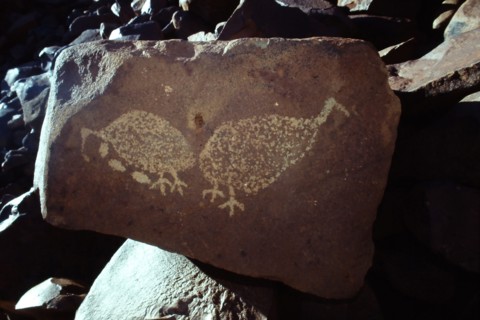 Rock carving of bush turkeys